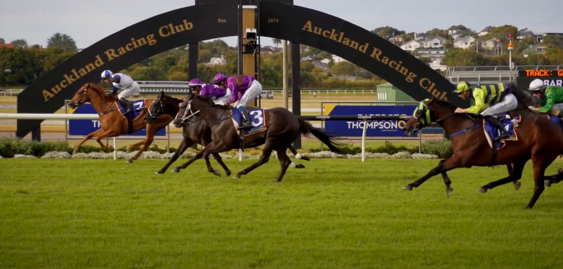WATCH | Barfoot & Thompson Auckland Cup Day 2020 – Highlights from the racing & other entertainment